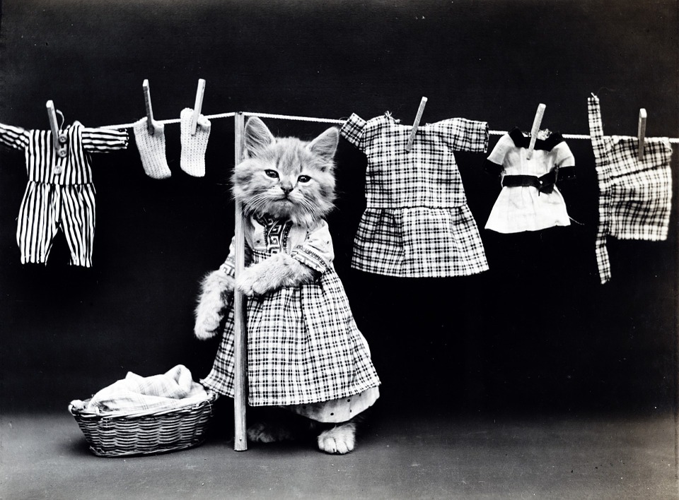baby's clothes