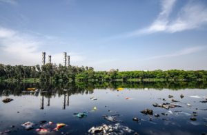 polluted